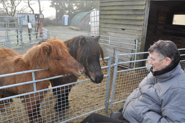 gite-la-belle-aventure-activites-personnes-handicapees-maine-et-loire-animaux-ferme