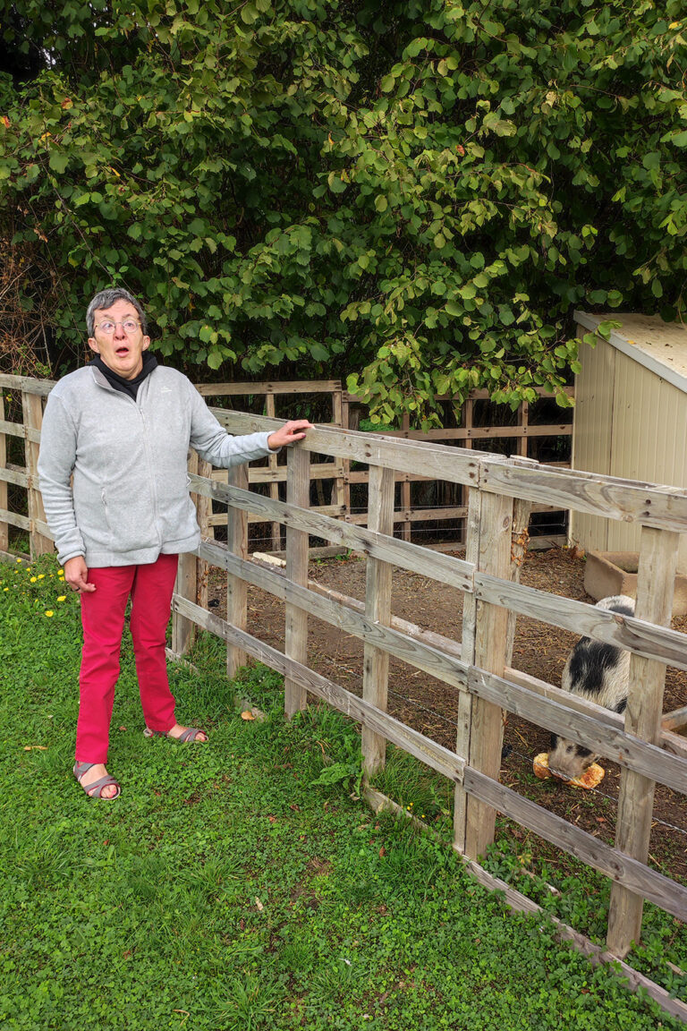 sejour-adapte-repit-rupture-gite-la-belle-aventure-maine-et-loire-la-ferme-en-vadrouille