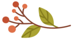 feuille11